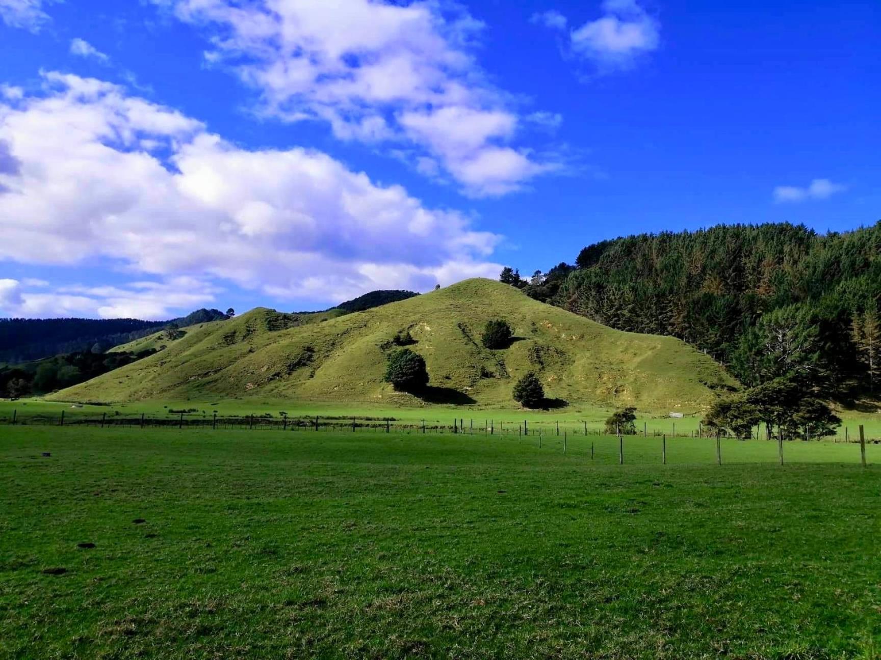 White Star Station Farm Holiday Park Coromandel Экстерьер фото